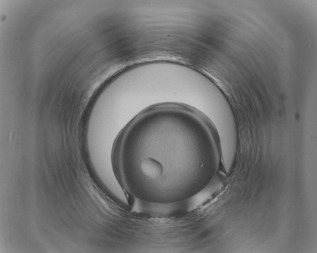 X0000088380350200706121150