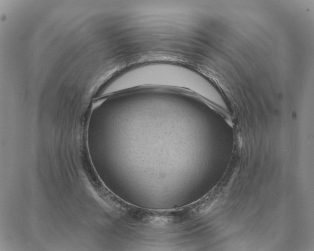 X0000088380352200706121151