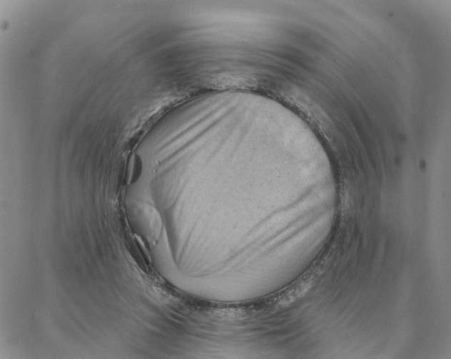 X0000088380353200706121151