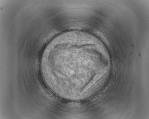 X0000088380354200706121151