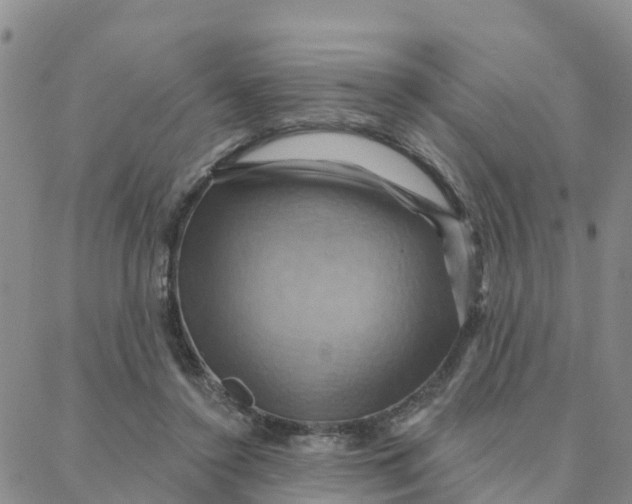 X0000088380356200706121151