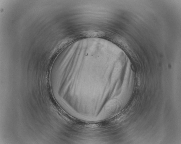 X0000088380357200706121151