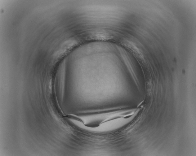 X0000088380358200706121151