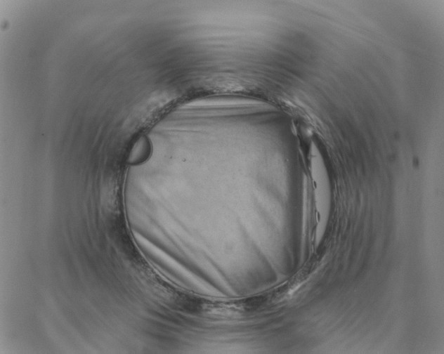 X0000088380359200706121151