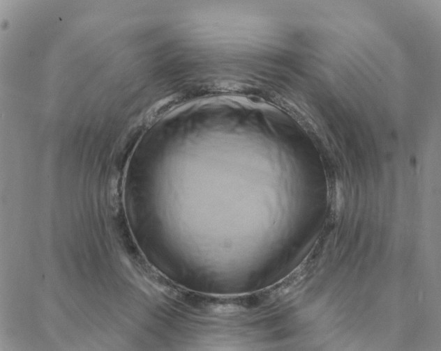 X0000088380360200706121151