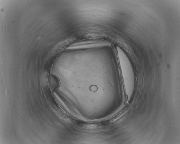 X0000088380361200706121151