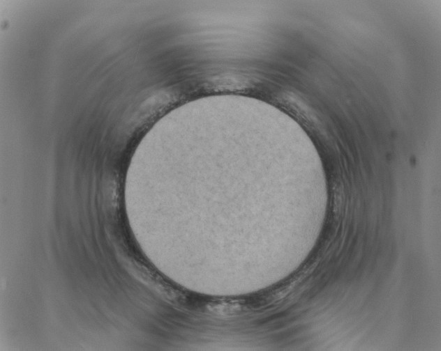 X0000088380362200706121151