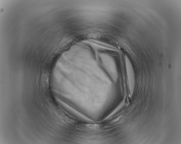 X0000088380363200706121151