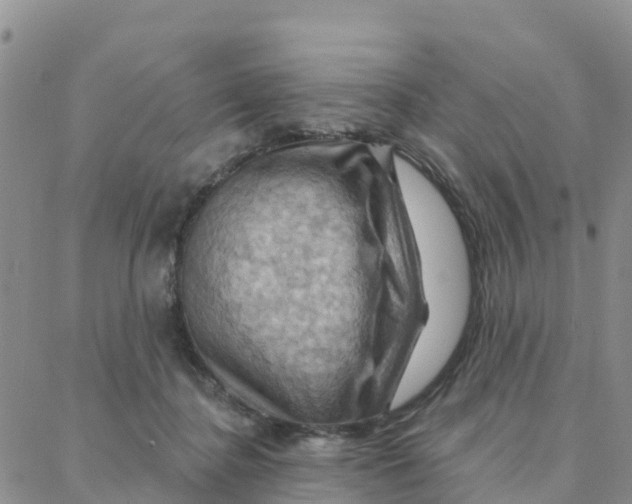 X0000088380364200706121151