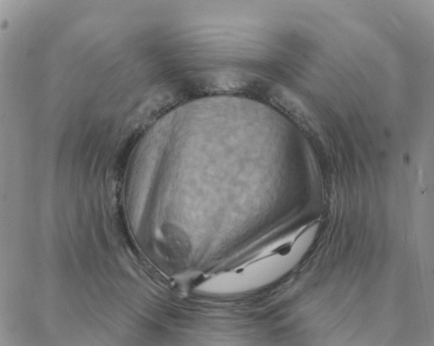 X0000088380366200706121151