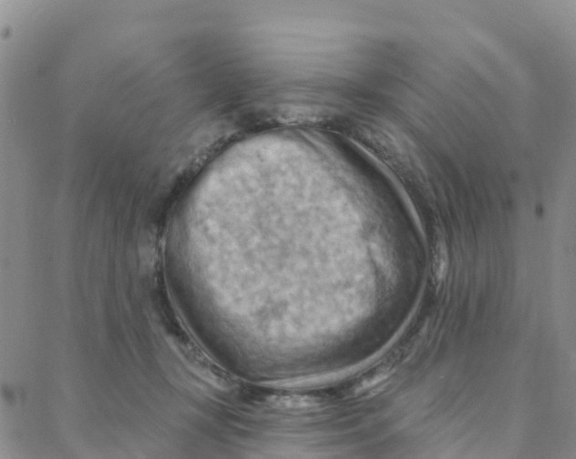 X0000088380367200706121151