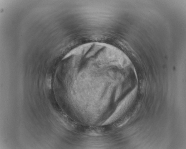 X0000088380368200706121151