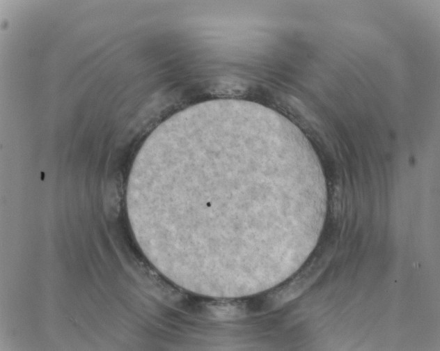 X0000088380370200706121151