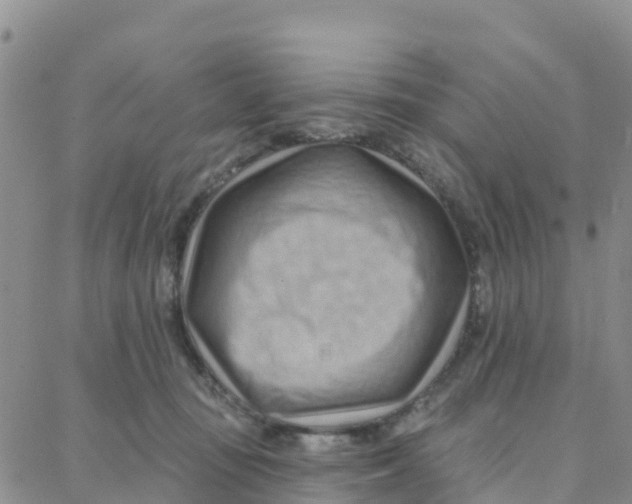 X0000088380371200706121151