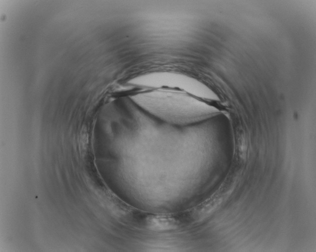 X0000088380372200706121151