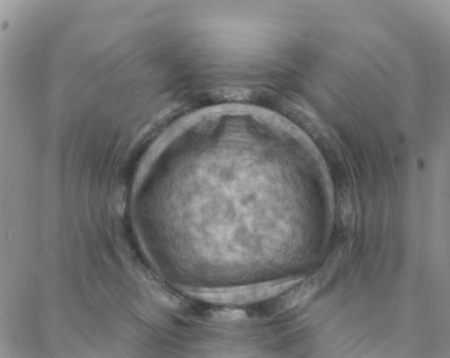 X0000088380374200706121151