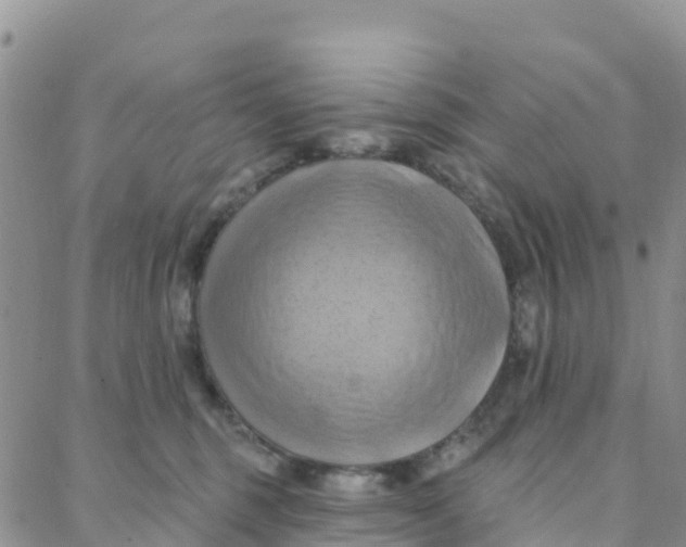 X0000088380375200706121151