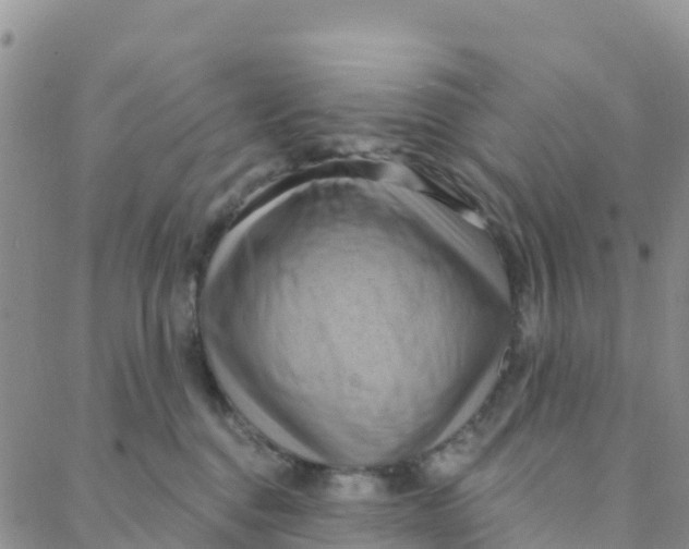 X0000088380376200706121151