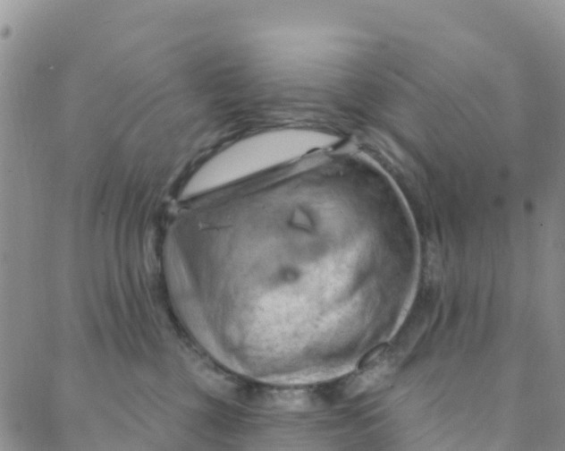 X0000088380377200706121151