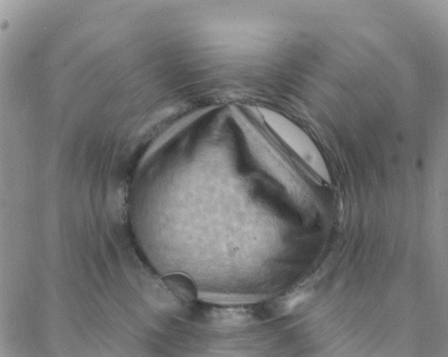 X0000088380378200706121151