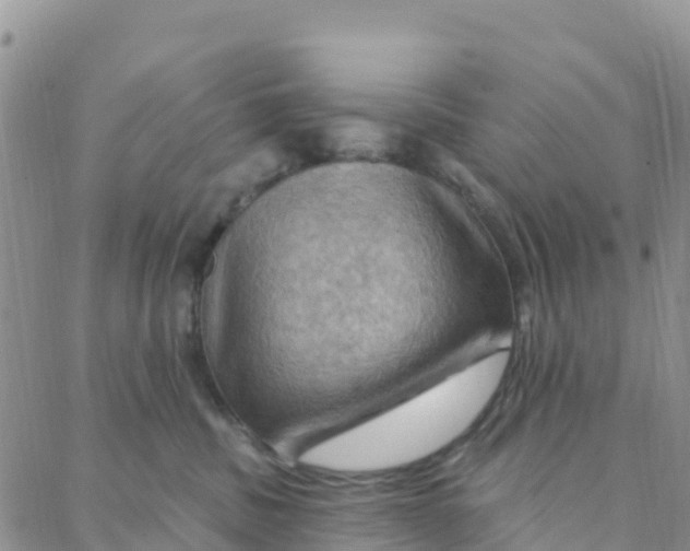 X0000088380379200706121151