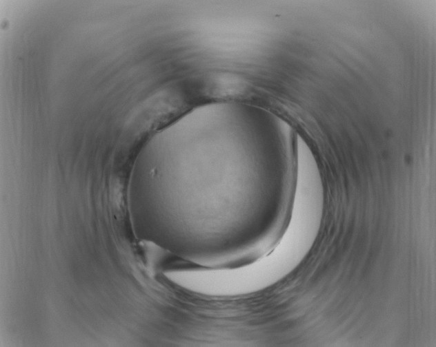 X0000088380380200706121151