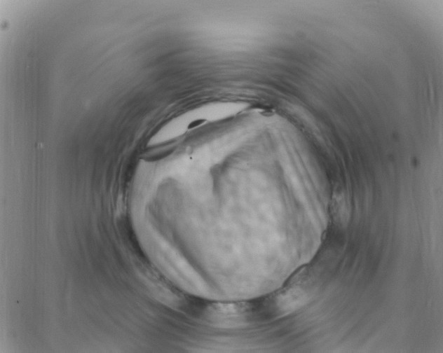 X0000088380381200706121151