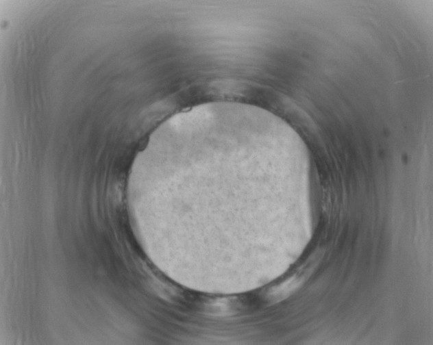 X0000088380382200706121151