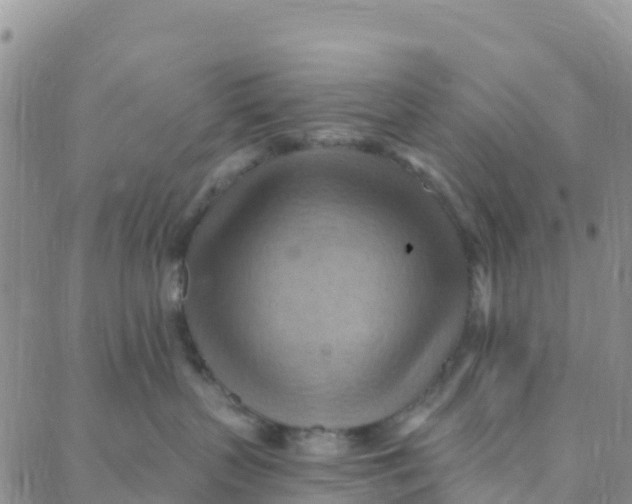 X0000088380383200706121151