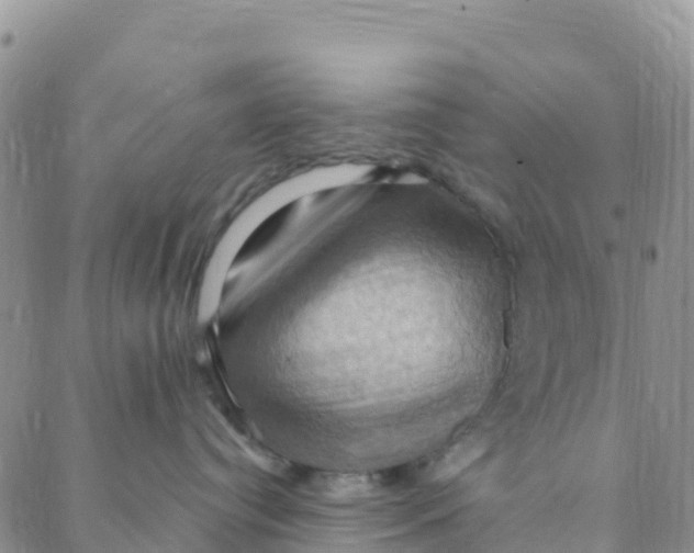 X0000088380384200706121151