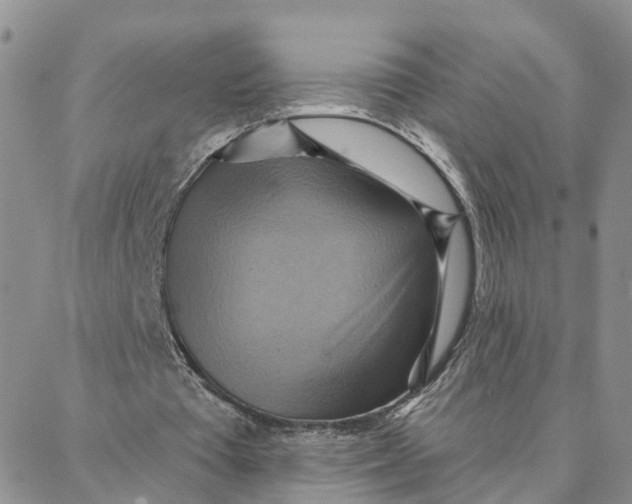 X0000088380385200706121150