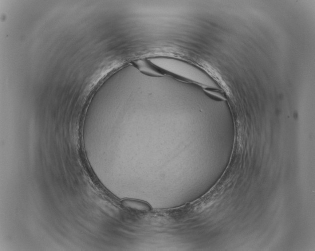 X0000088380386200706121150