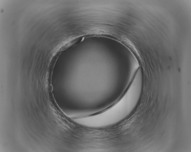 X0000088380387200706121150