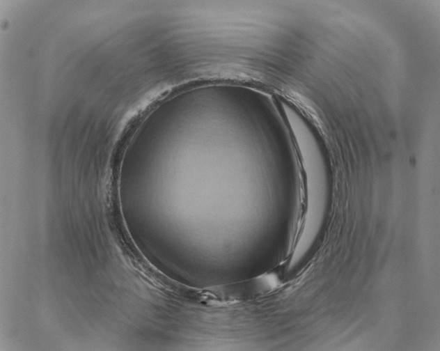 X0000088380388200706121150