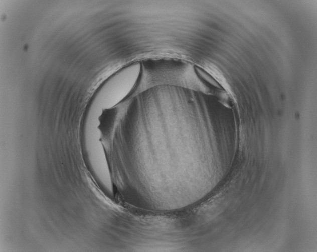 X0000088380389200706121150