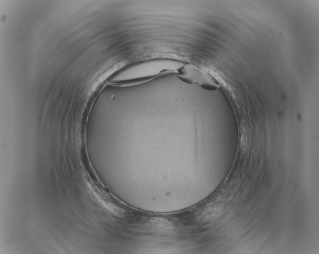 X0000088380390200706121150