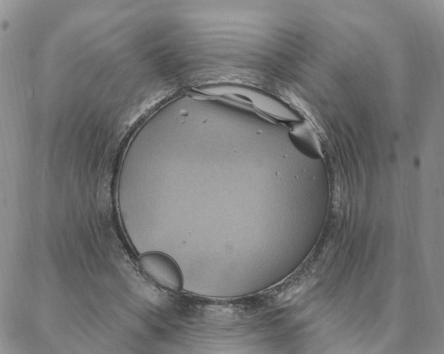 X0000088380394200706121150