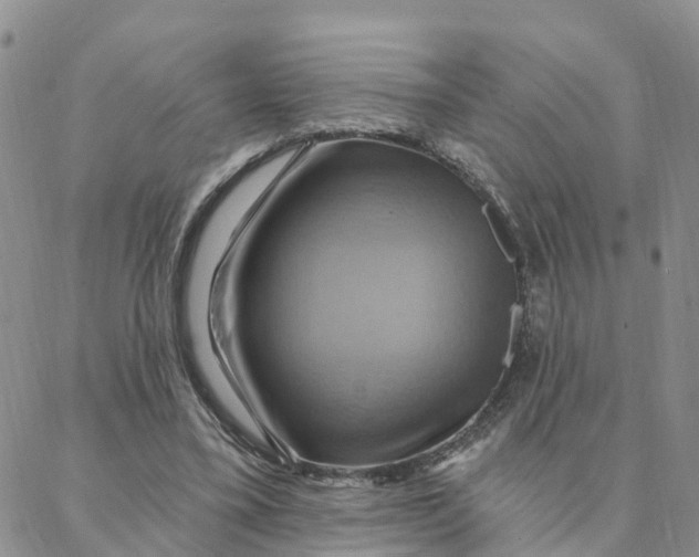 X0000088380395200706121150