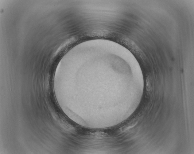 X0000088380396200706121150