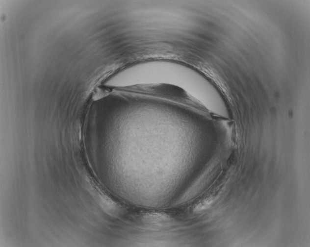 X0000088380397200706121150