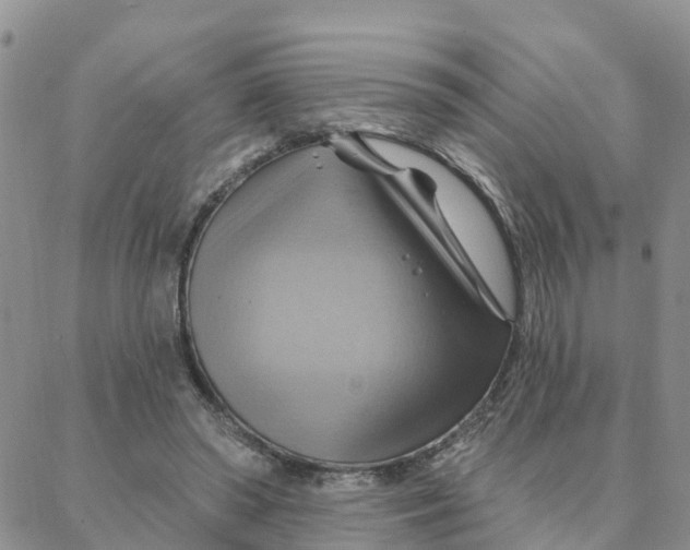 X0000088380398200706121150