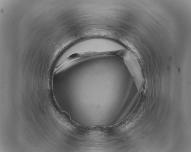 X0000088380399200706121150