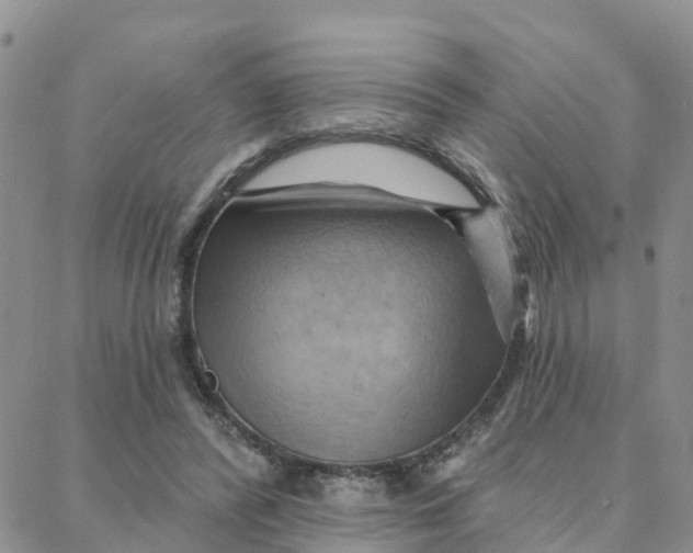 X0000088380400200706121150