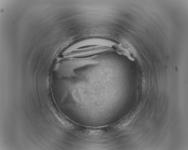 X0000088380401200706121150