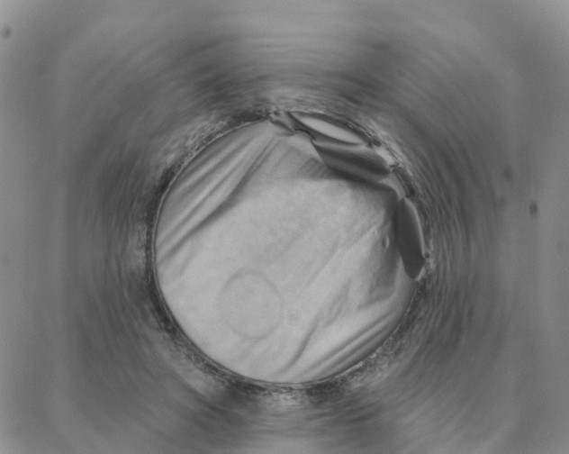 X0000088380402200706121150