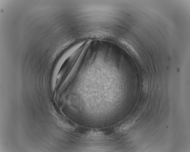 X0000088380403200706121150