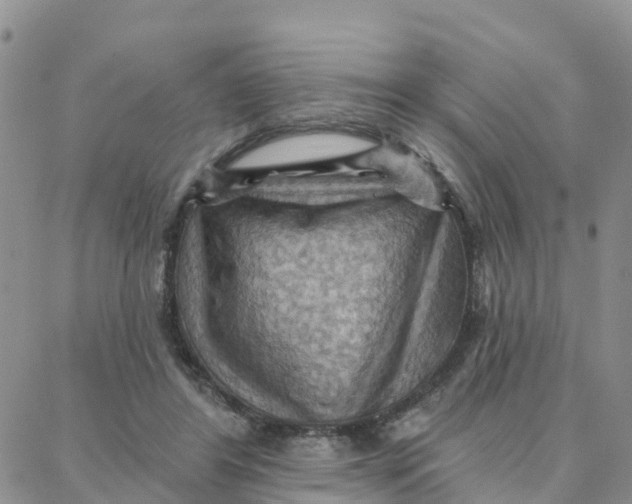 X0000088380404200706121150