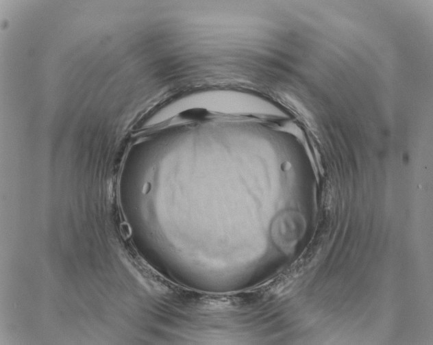 X0000088380405200706121150