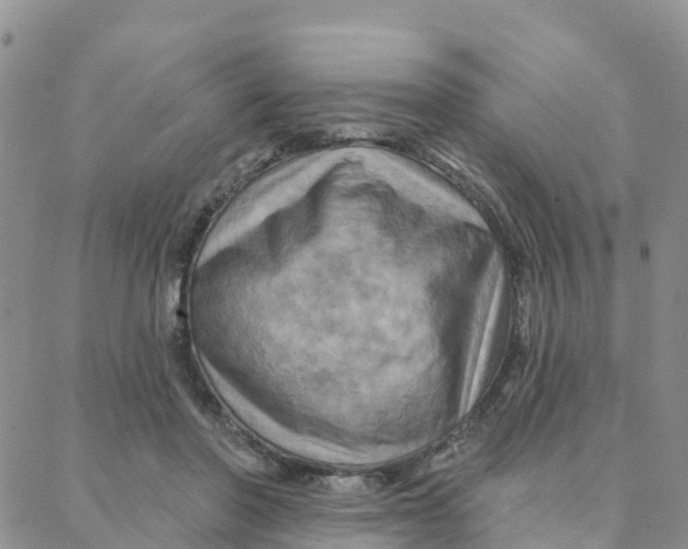 X0000088380406200706121150