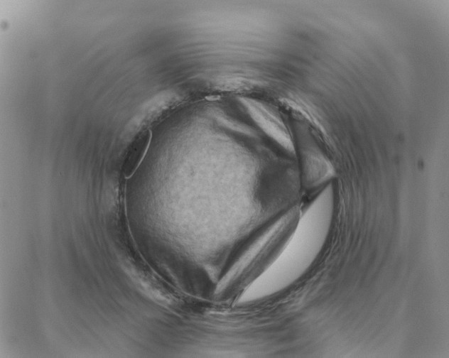 X0000088380407200706121150